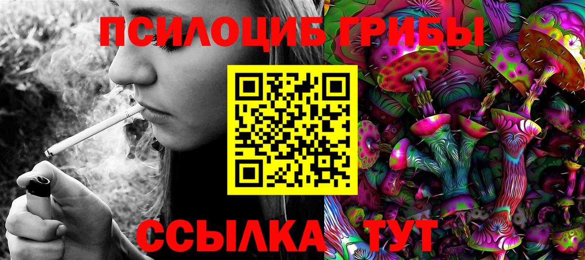 Галлюциногенные грибы прущие грибы  Вход с VPN  где продают наркотики  Ессентуки 