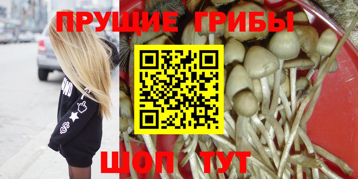 Галлюциногенные грибы мицелий Ессентуки