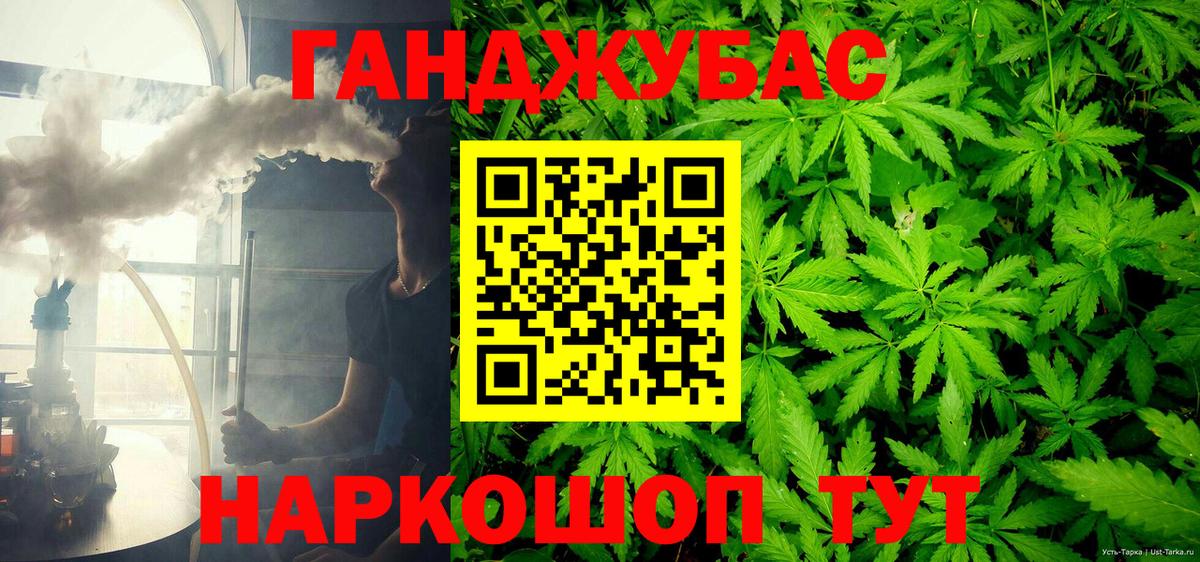 Бошки Шишки планчик Ессентуки